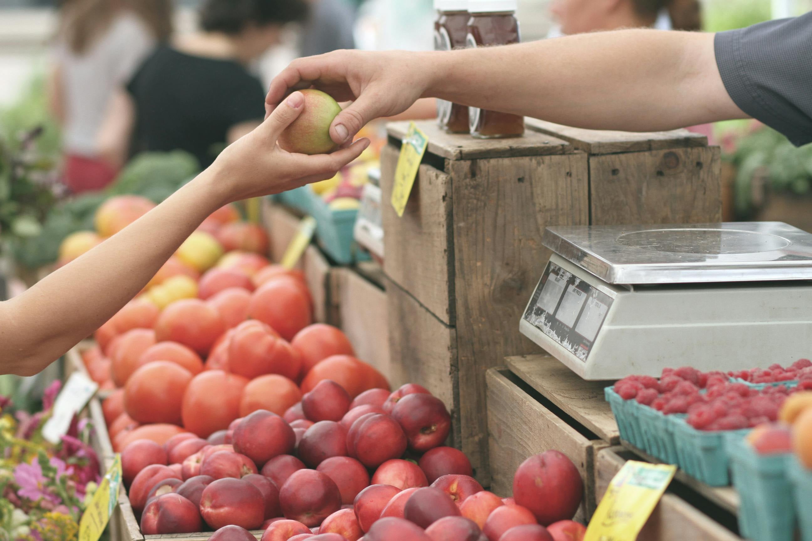 Take Advantage of Summer Ingredients With These Farmers Market Finds-Kibo Foods