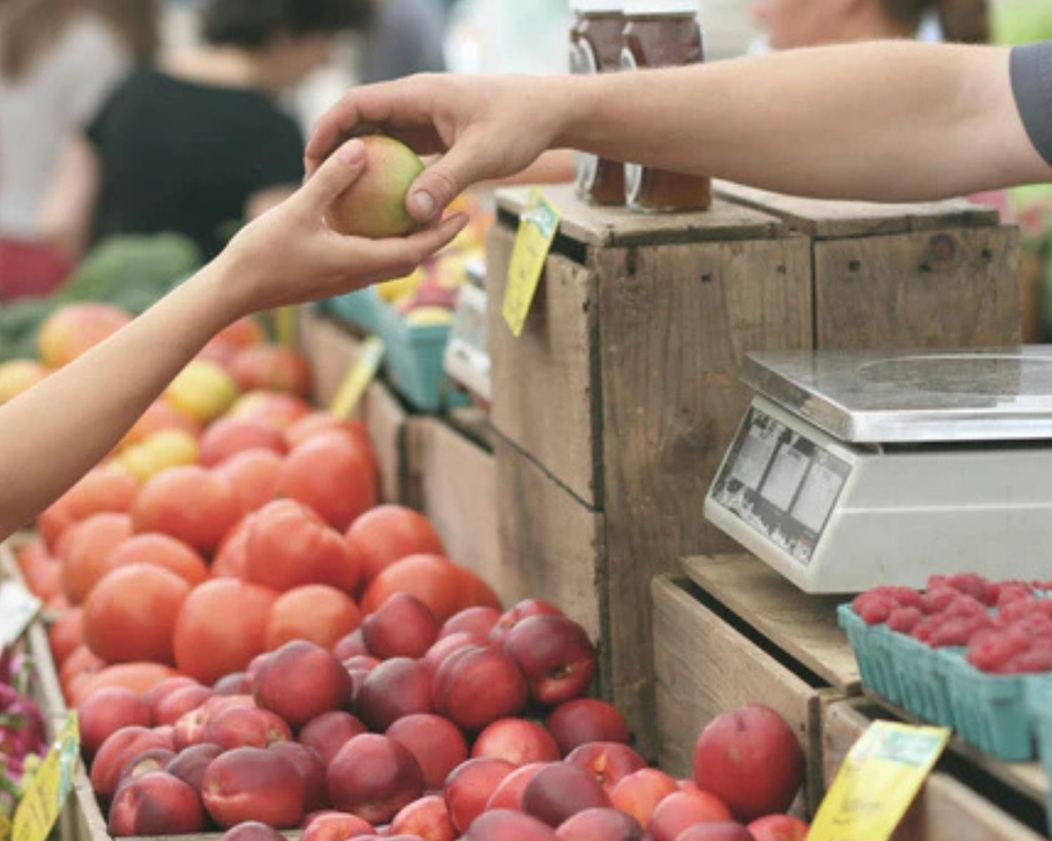 Take Advantage of Summer Ingredients With These Farmers Market Finds