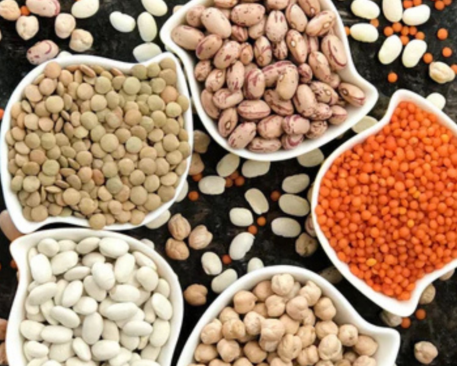 Pulses and Their Benefits to Our Bodies and the Planet