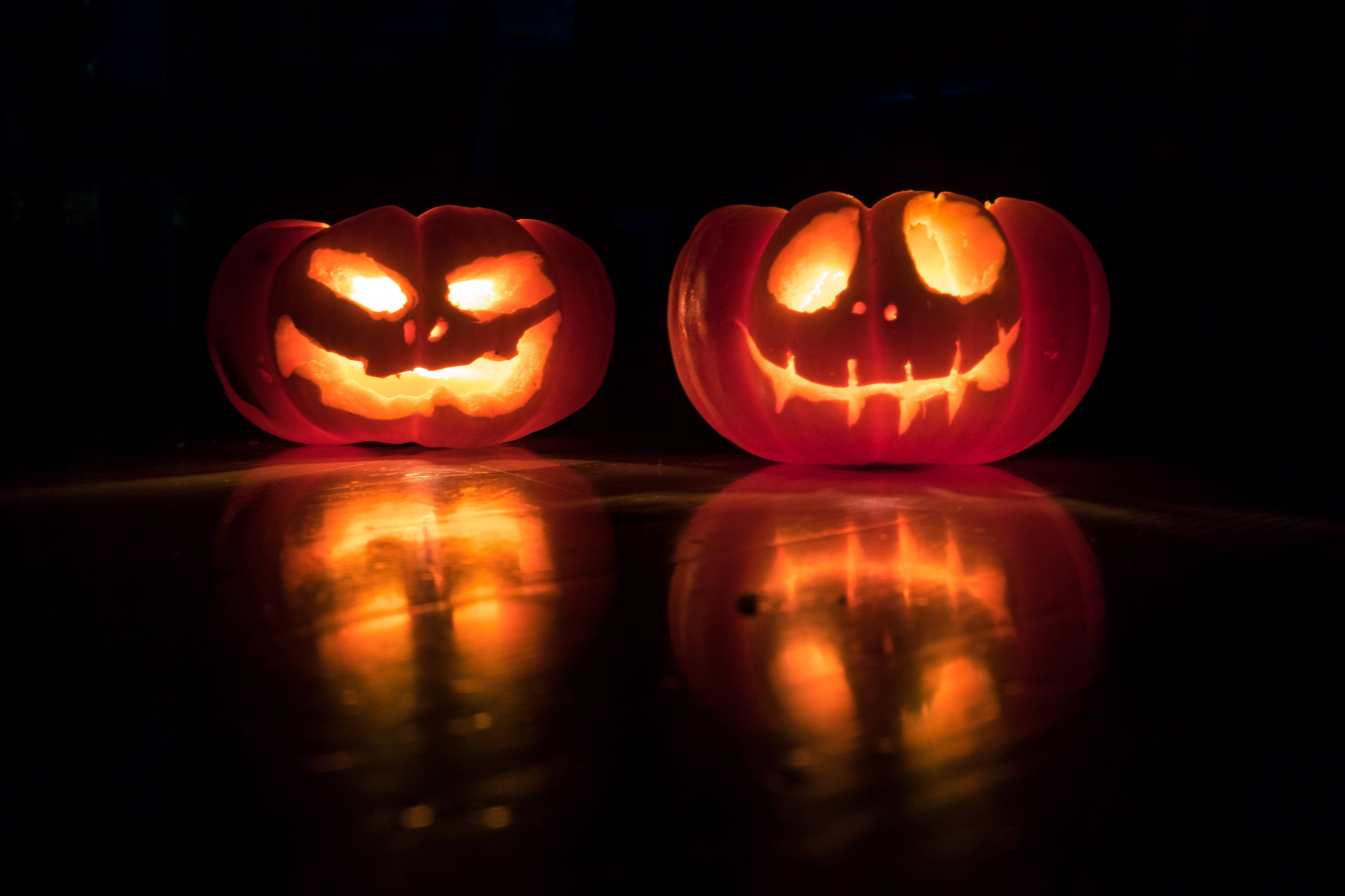 Tips for a Healthy and Sustainable Halloween-Kibo Foods