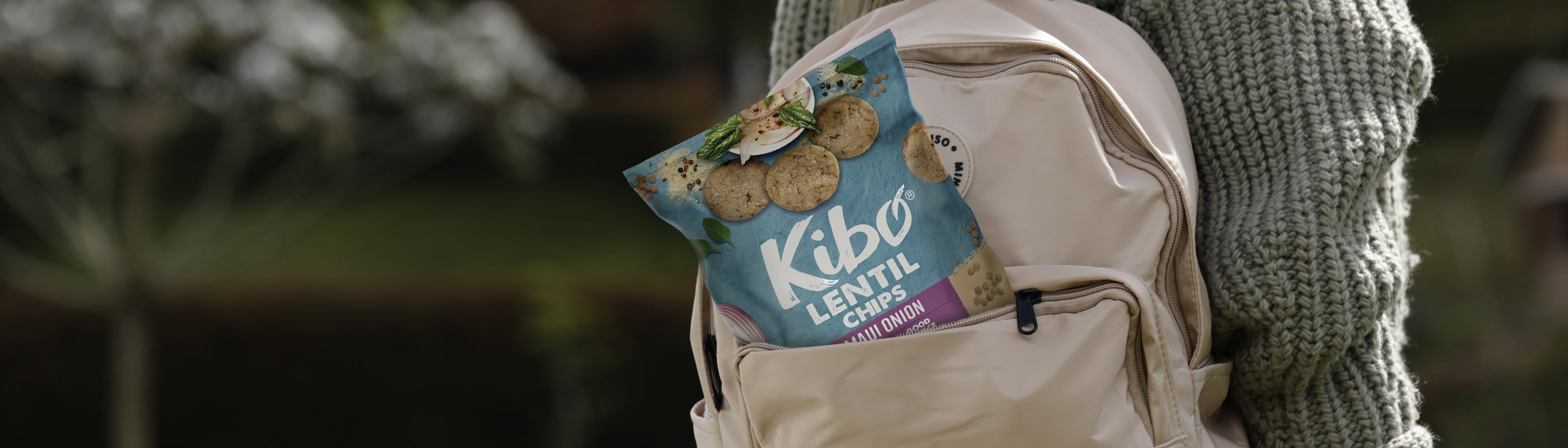 LENTIL CHIPS